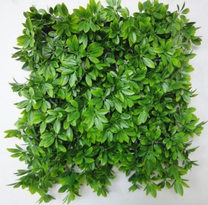 Schools Parks Playgrounds Outdoor Artificial Wall Grass Easy To Install