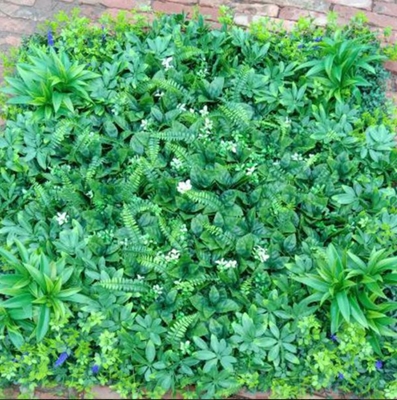 100cm*100cm Size Wall Fake Grass Highly Realistic Appearance