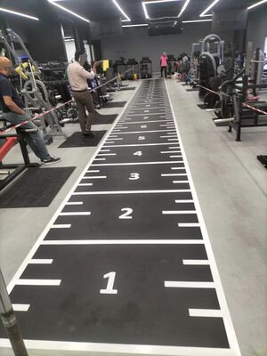 High Density Artificial Turf for HYROX & SLED Sports with Customizable Logo and Easy Maintenance