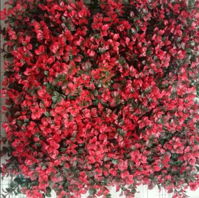 quality  Artificial Wall Grass Natural Looking Low Maintenance Solution For Indoor Outdoor Spaces factory