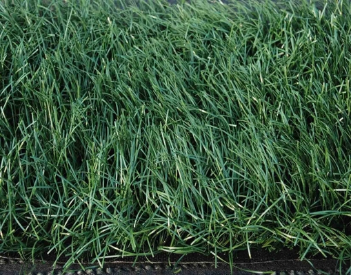 140 stitches/m Synthetic Sports Artificial Turf With 32mm Pile Height For Landscaping And Gardening