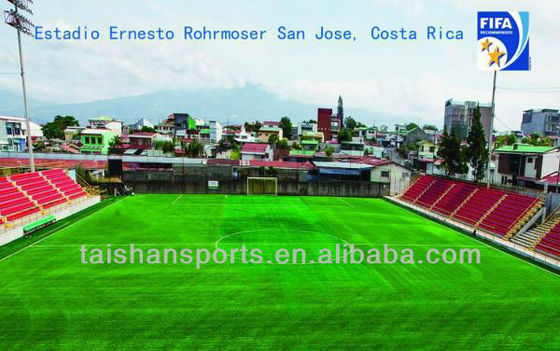 FIFA Certified 55mm Pile Height High Density Artificial Turf for Soccer Courts with Low Maintenance