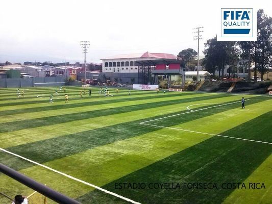 FIFA Certified 55mm Pile Height High Density Artificial Turf for Soccer Courts with Low Maintenance