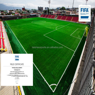 Green Football Artificial Turf with 5/8" Gauge PP+LENO Backing and SBR Latex Coating