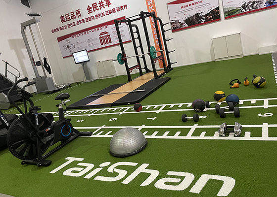 16mm Pile Height Sled Turf with Customized Color Pattern and UV Resistance for Gym Fitness