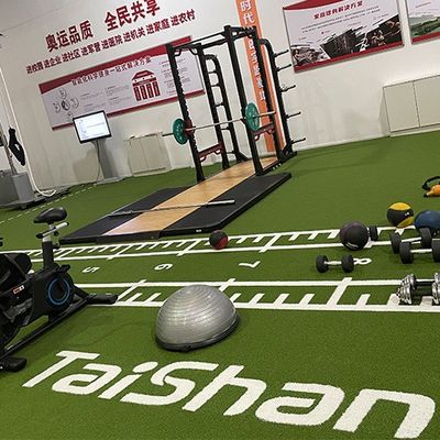 19mm Pile Height UV Resistant Artificial Grass for Sports Fields with Non-infill Installation