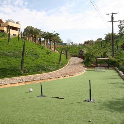 Any Length Landscape Artificial Grass Flat Shape Yarn FIFA FIH Double Certification