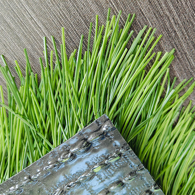 Dtex 17000 Low Maintenance Customizable Green Artificial Football Turf For Outdoor Activities