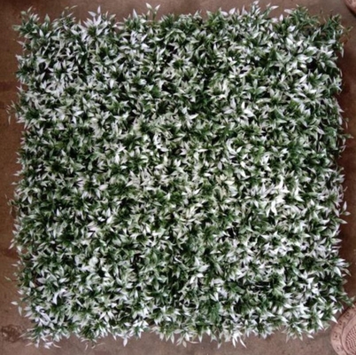 Artificial Wall Grass For Elevating Your Building'S Aesthetics With 50cm*50cm Size The Perfect Exterior Solution