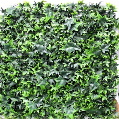 Environmentally Friendly Artificial Wall Grass With Excellent Security Performance For Houses And Cafes Decorations