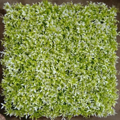 Artificial Wall Grass PE Material Customizable For Dust And Dirt Prevention In Indoor And Outdoor Spaces