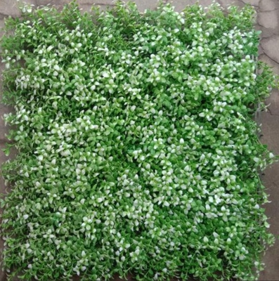 UV Resistance Low Maintenance Artificial Wall Grass For Beautiful Comfortable Living Spaces With Square Shape
