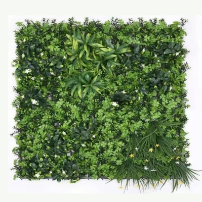 green PE Artificial Grass Wall Panels Outdoor 100cm*100cm