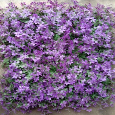 50cm*50cm Size Artificial Wall Grass Strong Durability Fast Drainage For Decoration And Beautification