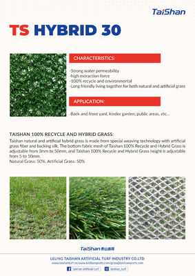 25mm Pile Height Hybrid Artificial Grass Carpet with Ultra High Wear Resistance for Mixed Laying with Natural Grass