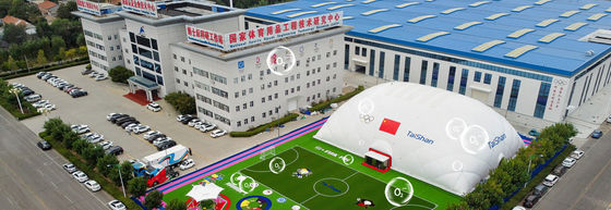 30mm Pile Height Anti-abrasion Negative Ions Releasing Artificial Turf Synthetic Grass
