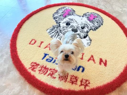 UV Resistant Customizable Colors Artificial Grass for Kindergartens and Pets with Low Maintenance