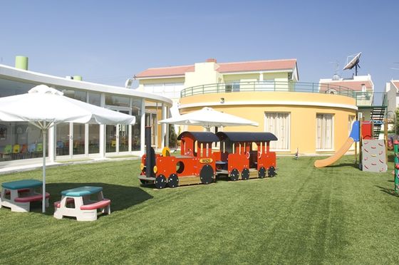 25mm Pile Height Hybrid Artificial Grass Carpet with Ultra High Wear Resistance for Mixed Laying with Natural Grass