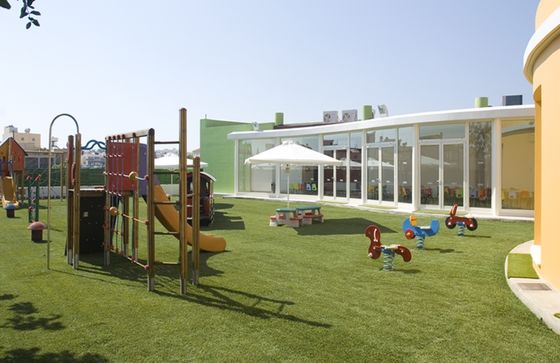 Natural Texture Landscape Artificial Grass 45mm Pile Height Low Maintenance for Garden Lawns and Landscape Projects