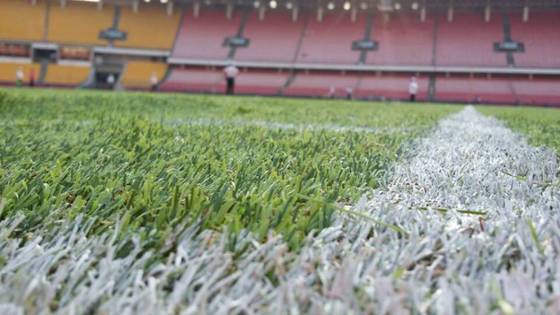 30mm Pile Height Infill-Free Artificial Turf for Football Fields with Great Water Permeability for Wholesalers and Local Agents