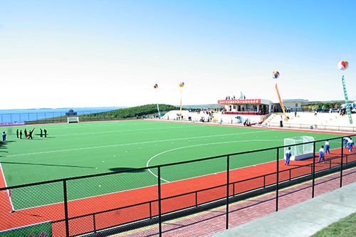 High Density 18mm Thickness Artificial Turf with Great UV Resistance for Golf and Hockey