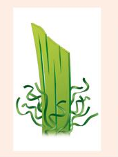 30mm Non-Infill Artificial Grass High Thickness High Density Special Backing Great UV Resistance 47N Pulling Force