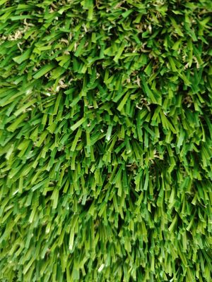 Non-Infill Green Artificial Grass Transparent Latex 30mm PE&PP material Little Sand Needed Drainage holes