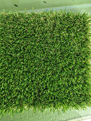 Non-Infill Artificial Grass With 30mm Pile Height And Transparent Latex Glue For Sports Turf 12400 Dtex Low Maintenance