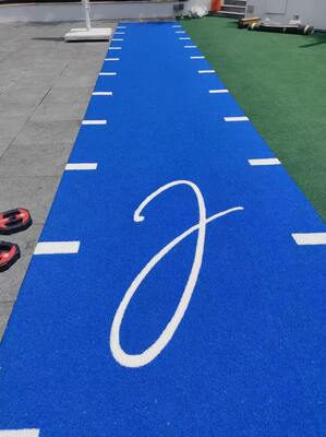 High Density Artificial Turf for HYROX & SLED Sports with Customizable Logo and Easy Maintenance