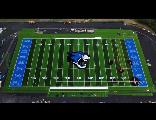 Pictured Artificial Grass Pictured Artificial Turf 40mm Football Turf Customized Logos