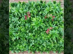 2025 New Taishan Wall Grass Supplier