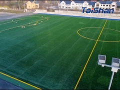 FIFA certified Football Turf 