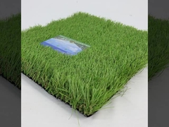 Landscape Artificial Grass
