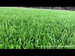 Taishan new project Belize Artiifical Sports turf
