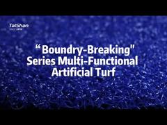 Boundary-Breaking Series Multi-Functional Artificial Turf