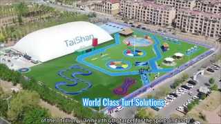 Taishan Sports Industry Group Introduction